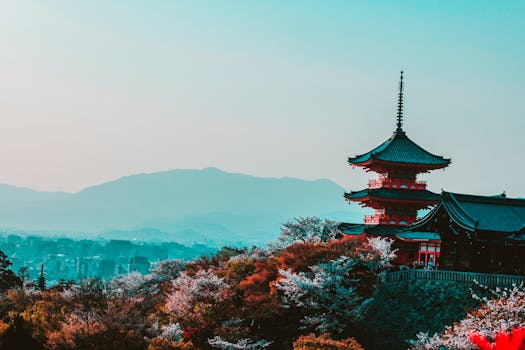 Discover the fascinating culture of Japan, visiting Tokyo, Kyoto, Osaka and Mount Fuji, tradition, technology